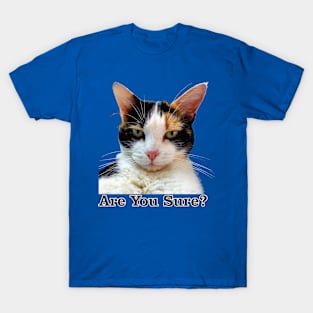 Cute Calico Cat with Attitude – Are You Sure! T-Shirt